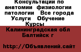 Консультации по анатомии, физиологии, патологии - Все города Услуги » Обучение. Курсы   . Калининградская обл.,Балтийск г.